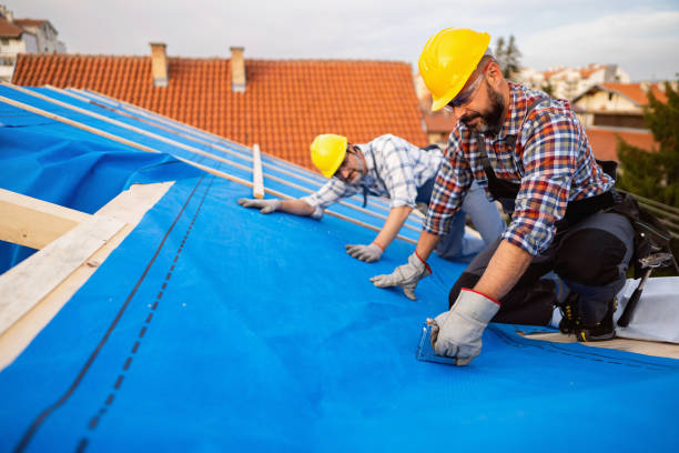 Best Roof Moss and Algae Removal  in Baker, LA